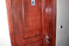DSC5336